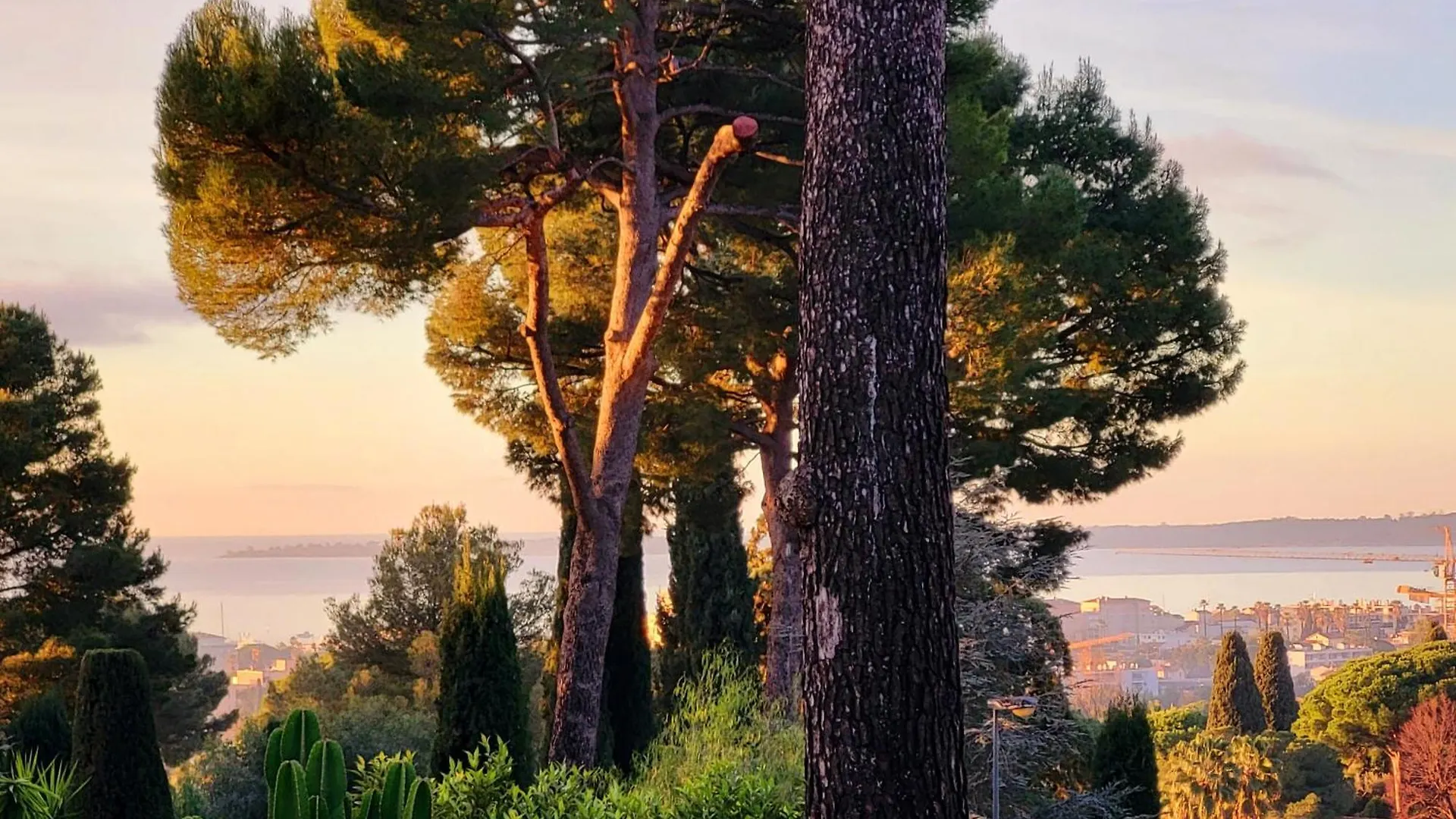 Villa Vue Mer A Antibes