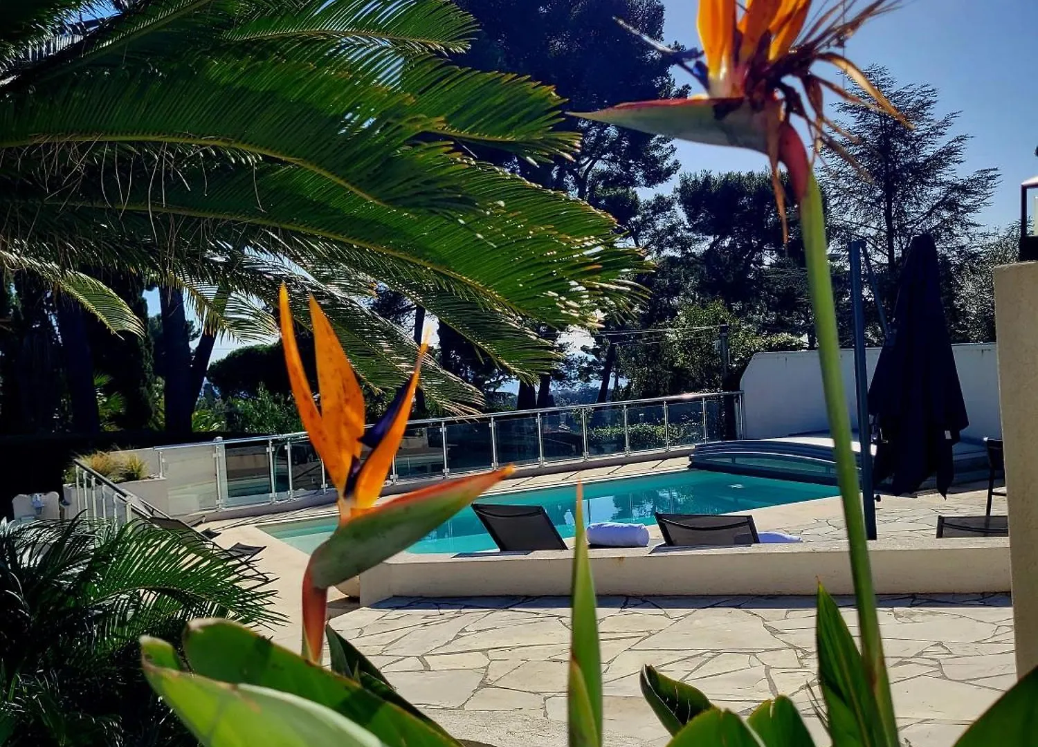 Villa Vue Mer A Antibes Francia
